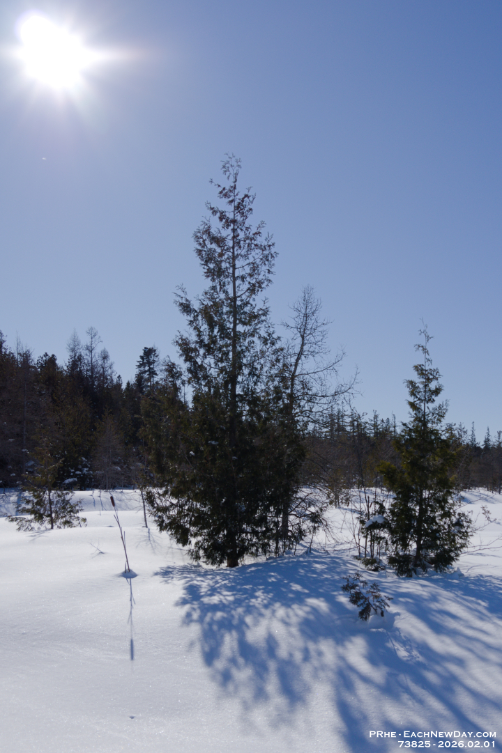 73825CrLe - A lovely Sunday afternoon walk with Beth at the George Langman Sanctuary